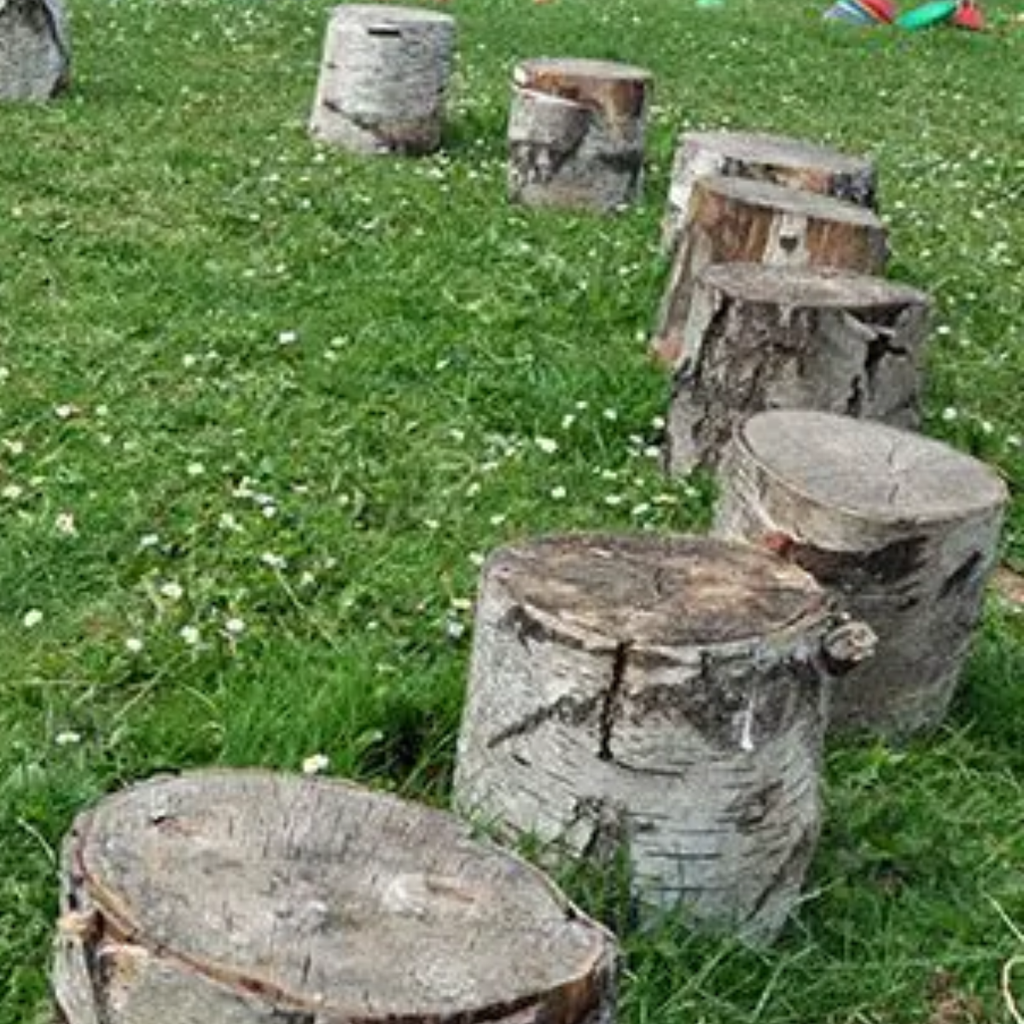 Natural Wooden Tree Stump Seats x 15 Educational Equipment Supplies