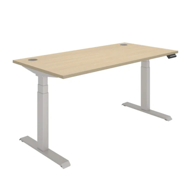 Rectangular Dual Motor Sit Stand Desk