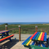 Composite Junior Picnic Table