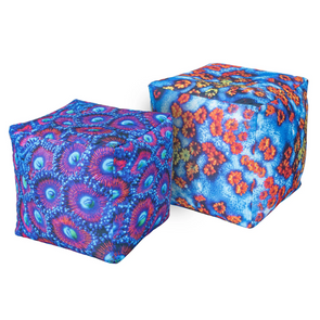 Coral Bean Cubes