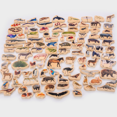 Wooden Animal Blocks Bundle - 105 Piece