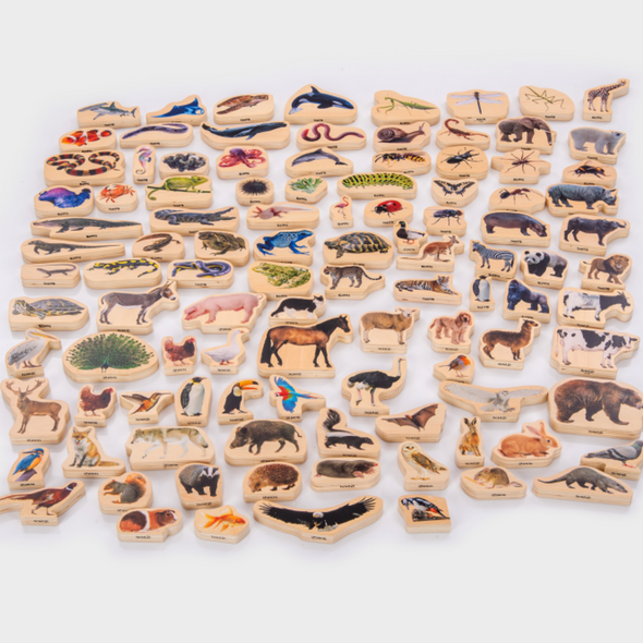 Wooden Animal Blocks Bundle - 105 Piece