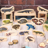 Wooden Animal Blocks Bundle - 105 Piece