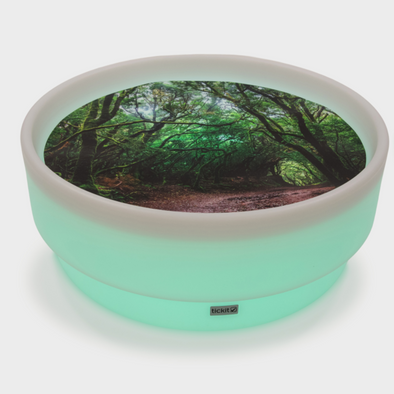Sensory Mood Discovery Glow Low Table + Forest Discovery Play Mat
