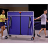 Cornilleau Performance 500 Indoor Table Tennis Table