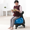 Ball Chair Large + Locking Castors