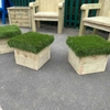 Outdoor Story Telling Throne Chairs + Grass Seating Stools