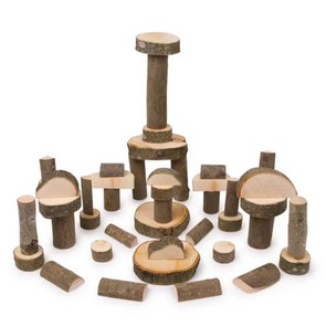 Nature Building Blocks - 50 Piece Set