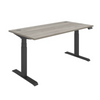 Rectangular Dual Motor Sit Stand Desk