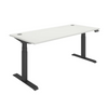 Rectangular Dual Motor Sit Stand Desk