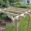 Nursery Height Pergola