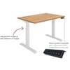 Rectangular Dual Motor Sit Stand Desk