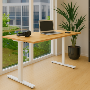 Rectangular Single Motor Sit Stand Desk