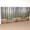 Nursery Soft Wall Pads x 4 - Woodland Walk + Floor Mats