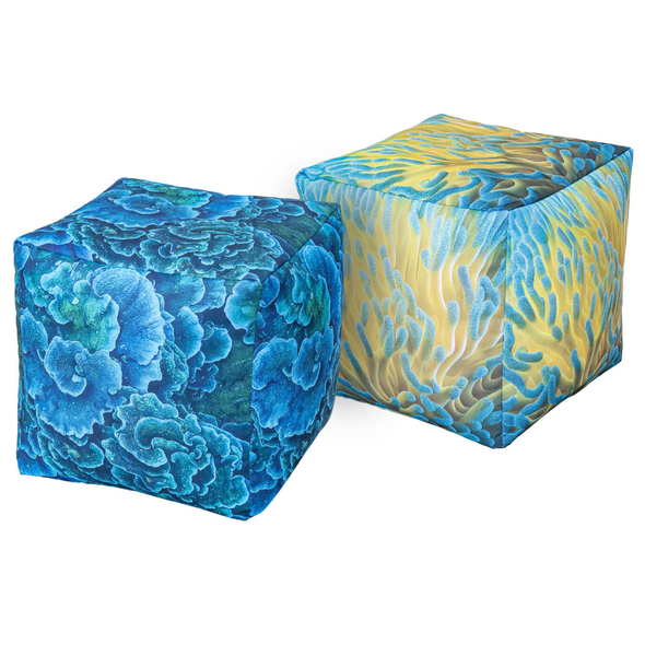 Coral Yellow Bean Cubes Coral Yellow Bean Cubes | ee-supplies.co.uk