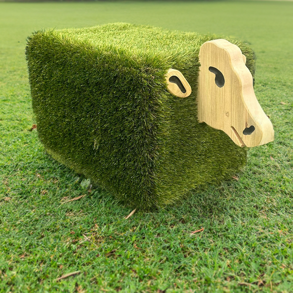 Sensory Playground Animal Sensory Playground Animal Seats (Set of 5) | ee-supplies.co.uk