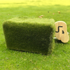 Sensory Playground Animal Sensory Playground Animal Seats (Set of 5) | ee-supplies.co.uk