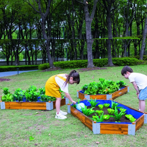 Little Garden Hexagonal Planting Set Little Garden Hexagonal Planting Set | www.ee-supplies.co.uk