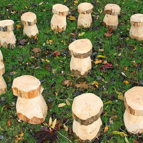 Mini Mushroom Half Class Set (15pk) Mini Mushroom Half Class Set (15pk) | www.ee-supplies.co.uk