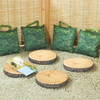 Nature Cushion Set - Set of 8 Nature Cushion Set - Set of 8 | Nature Bean Bags | www.ee-supplies.co.uk