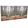 Nursery Soft Wall Pads -Woodland Walk Set Of 4 Nursery Soft Wall Pads -Woodland Walk Set Of 4 | Nursery Furniture | www.ee-supplies.co.uk