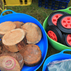 Outdoor Loose Parts XXL Bundle Outdoor Loose Parts XXL Bundle  |  www.ee-supplies.co.uk