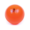 Readers Windball Cricket Ball Aresson All Play Cricket Ball| www.ee-supplies.co.uk