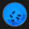 UV Round Aquarium Liquid Tiles 4 pk UV Round Aquarium Liquid Tiles 4 pk | Sensory | www.ee-supplies.co.uk