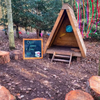Children’s Outdoor Wooden Forest Fern Peephole Wooden Outdoor Forest Fern Peephole  | Great Outdoors | www.ee-supplies.co.uk