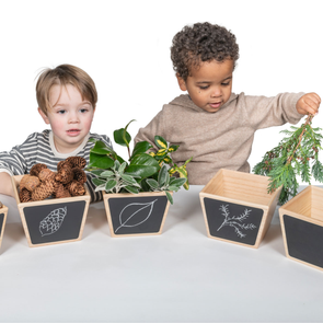 Wooden Sorting Pots Pack of 5 Wooden Sorting Pots Pack of 5 | Construction | www.ee-supplies.co.uk