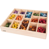 Wooden Treasures Super Set + Wooden Sorting Tray Wooden Treasures Super Set + Wooden Sorting Tray | www.ee-supplies.co.uk