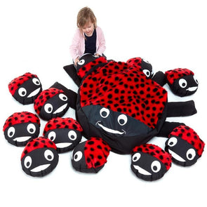 Ladybird & Babies Cushions - Educational Equipment Supplies