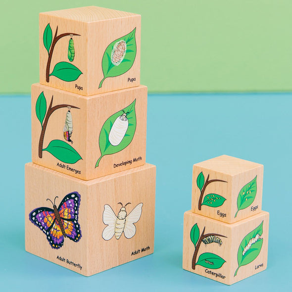 Life Cycle Wooden Blocks - Educational Equipment Supplies