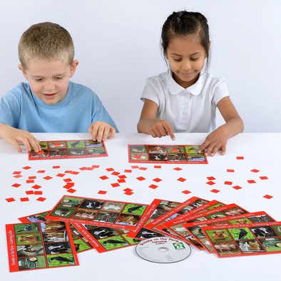 Listening Lotto Games - Sounds on the Farm Listening Lotto Games - Sounds at Home |  www.ee-supplies.co.uk