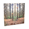 Nursery Soft Wall Pads - Woodland Walk Nursery Soft Wall Pads - Woodland Walk| Nursery Furniture | www.ee-supplies.co.uk