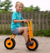 Rabo 2 Wheel Bike - Ages 3-7 Years - Educational Equipment Supplies