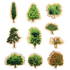 Seasons Trees Wooden Pieces - Educational Equipment Supplies