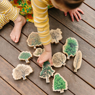 Seasons Trees Wooden Pieces - Educational Equipment Supplies