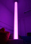 Interactive Sensory Passive Chroma Light Tube With Dice Control - Educational Equipment Supplies