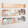 Shelf Style Wall Mounted Dispenser - Educational Equipment Supplies
