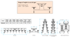 Sico ECO 16 Seat Rectangular Mobile School Folding Dining Table Sico Rectangular Mobile School Folding Dining Table - 16 Seats| ee-supp;ies.co.uk